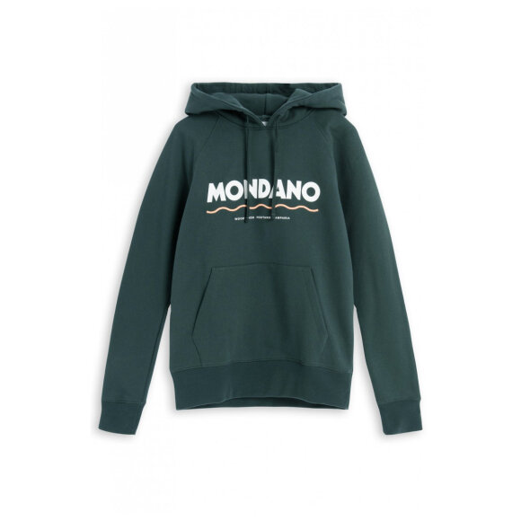 Wood Wood - WoodWood Raffi hoodie green