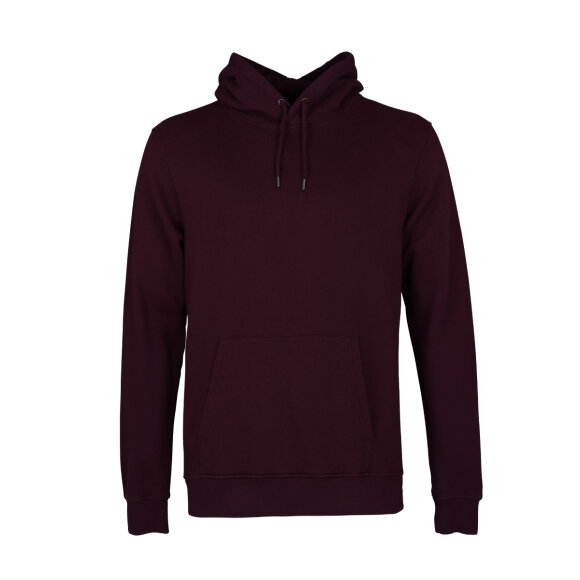 Colourful Standard Hoodie