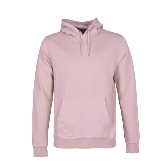 Colourful Standard Hoodie