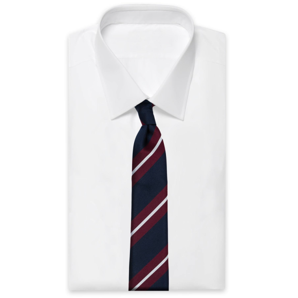 L2 X An Ivy Regiment Tie