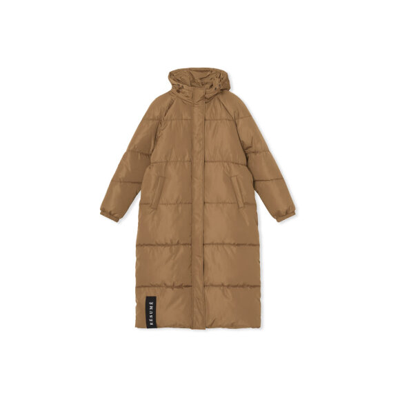 Alexa Jacket Resume 