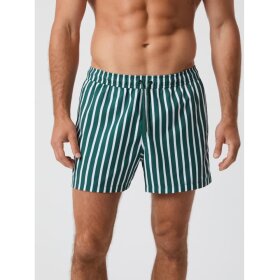 Björn Borg Borg Print Swim Shorts Green/White